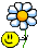 spinning daisy